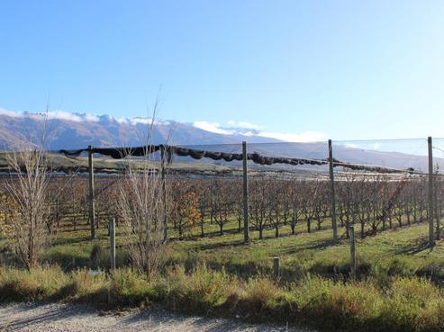 828 Luggate-cromwell Road, Cromwell