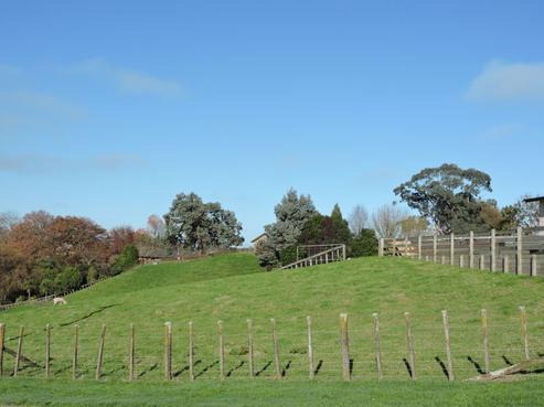 3 Parapara Road, Tirau