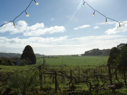 41 Gabriels Gully Road, Opotiki and Surrounds