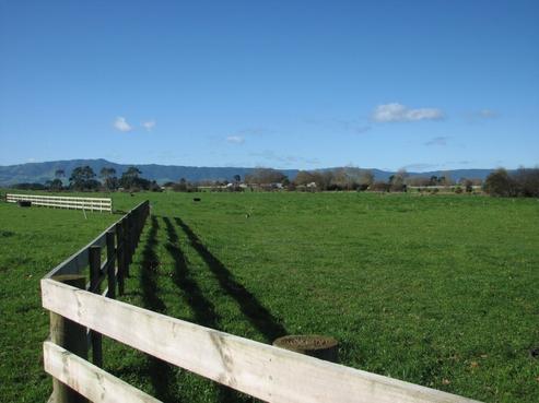 7917 State Highway 27, Matamata