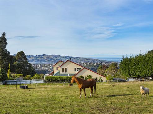 92 Dalziel Road, Halfway Bush