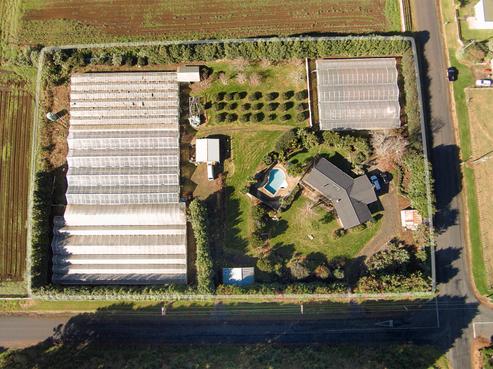 42 Wymer Road, Glenbrook