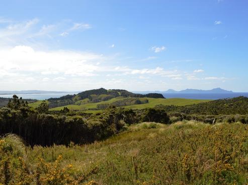 1558 Cove Road, Mangawhai