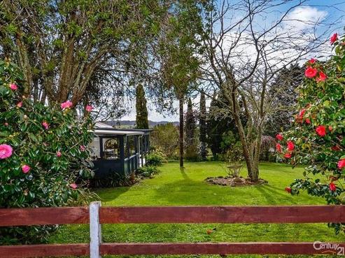 98 Escott Road, Dairy Flat