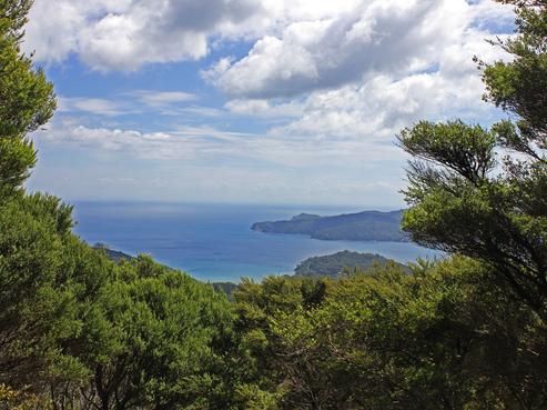 248 Rosalie Bay Road, Great Barrier Island