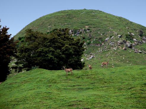 1742 Taringamotu Road, Taumarunui