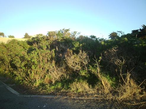 24 Health Camp Road, Otaki Beach