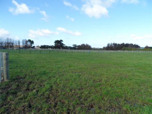 37 Roots Street East, Feilding