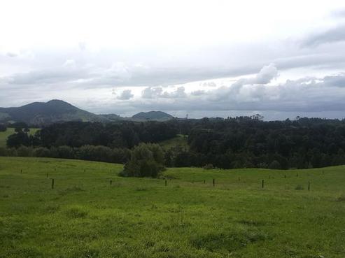202 Knight Road, Ruatangata