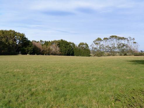 479 Bainfield Road, Myross Bush