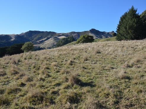 194 Grehan Valley Road, Akaroa