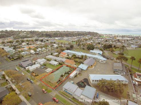 29 Mcdonald Street, Napier South