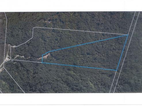 133 Clifton Road, Kaiata