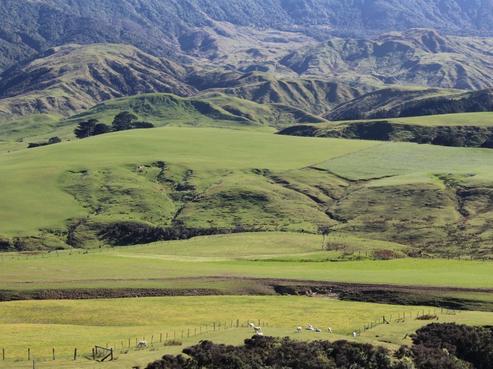 184 Range Road, Pongaroa