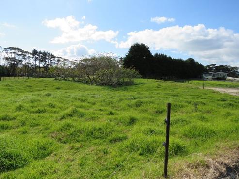 10 Albatross Alley, Ahipara