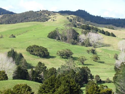 66 Otangaroa Side Road, Kaeo