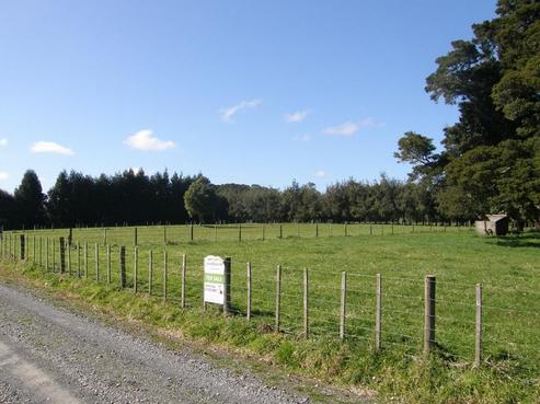 179 Apotu Road, Kauri