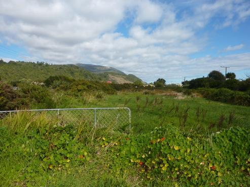 1A River Road, Hector