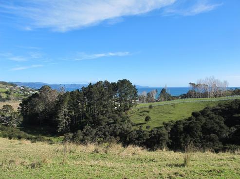 1322 Te Rerenga Kuaotunu Road, Kuaotunu