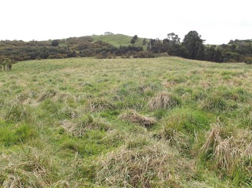2008A Cove Road, Mangawhai
