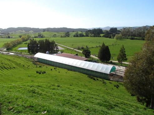 258 Otaua Road, Kaikohe West