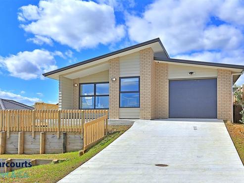 11 Mcgowan Rise, Tuakau