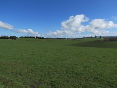 69 Adam Fleming Road, West Otago Surrounds
