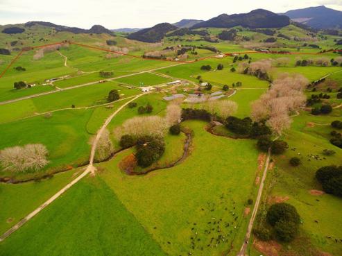 1371 Waihue Road, Dargaville Surrounds