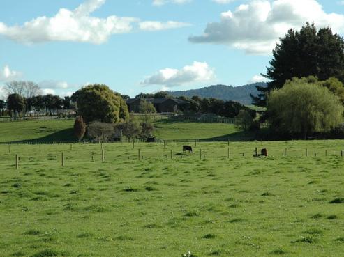 348 Peria Road, Matamata