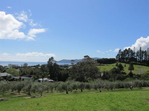 12 Ocean View Road, Cable Bay