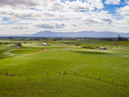 2175 Morrinsville-walton Road, Richmond Downs