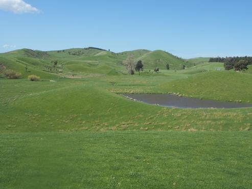 93 Bird Road, Central Hawkes Bay Country