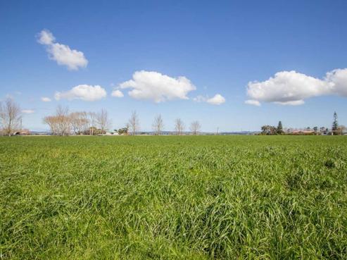 3672 State Highway 12, Ruawai