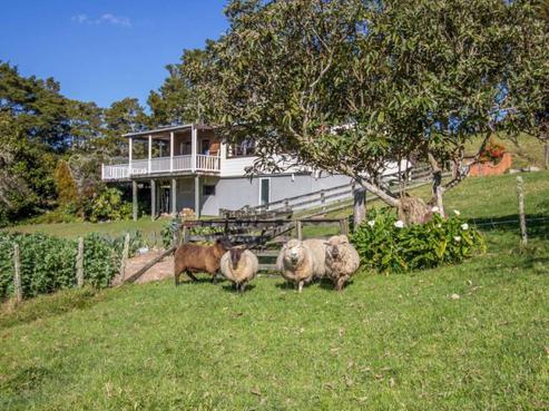 6 Lowe Road, Hikurangi