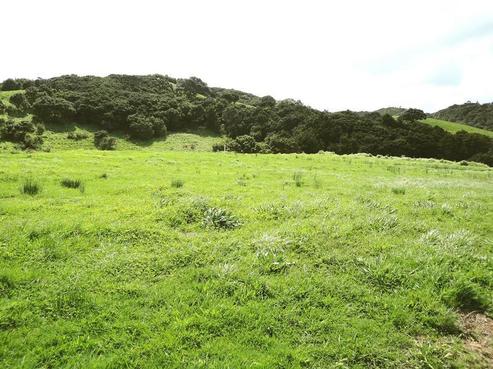2 Woodleigh Lane, Mangawhai