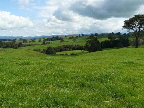 824 Huiarangi Road, Hastings Country