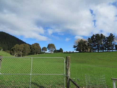 264 State Highway 1, Otaki