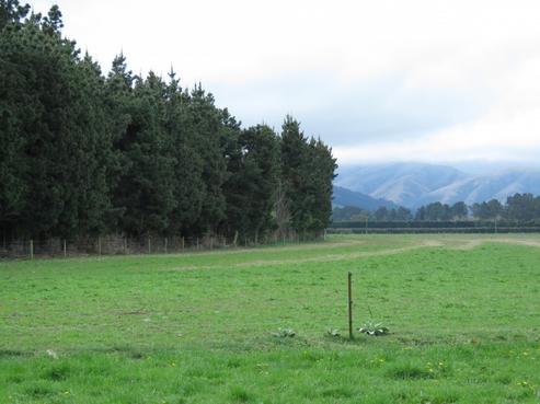 362 Alford Forest Cemetery Road, Mount Somers