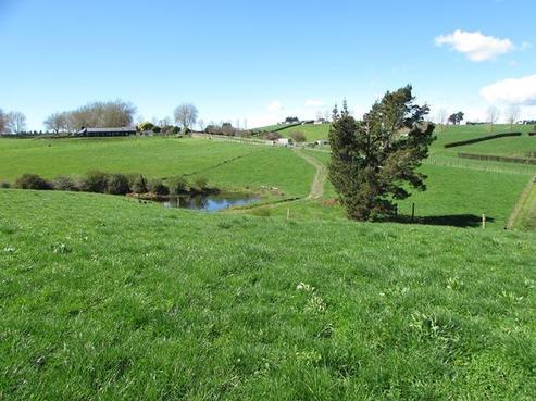 696 Mangaorongo Road, Otorohanga