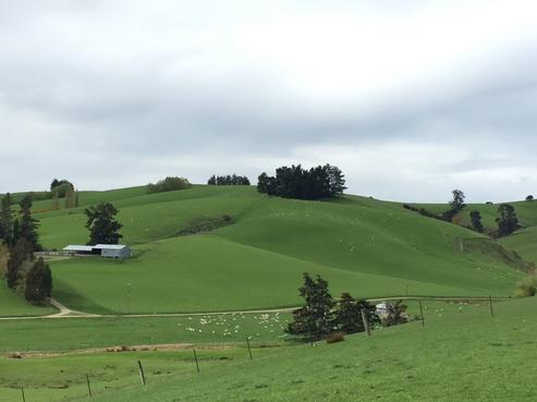 96 Lawrence Waitahuna Highway, Lawrence