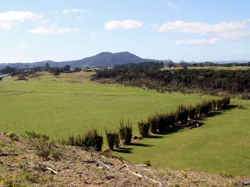 173 Burnage Road, Pukenui