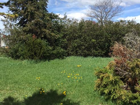30A Bute Street, Ranfurly