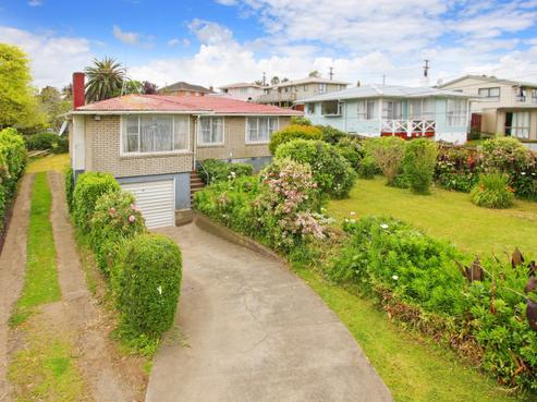 19 Hills Road, Otara