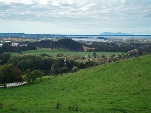 202 Thompsons Track, Aongatete
