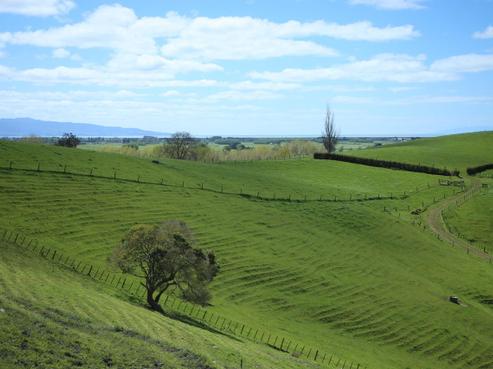 399 Mahuta Road North, Mangatarata