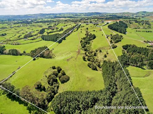 109 Runciman Road, Pukekohe East