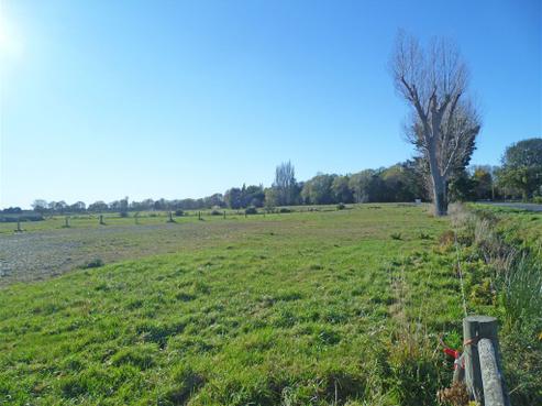 28 Mill Road, Clarkville