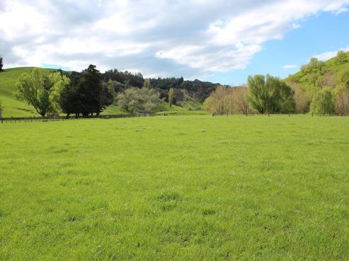 1045 Nicholls Road, Central Hawkes Bay Country