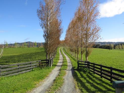 526 Old Kaipara Road, Kaipara Flats