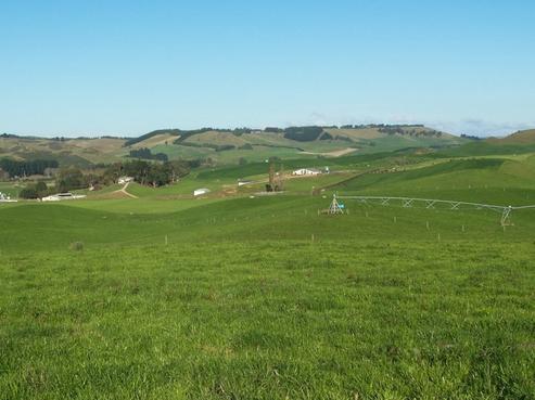 1913 Weston-ngapara Road, Duntroon